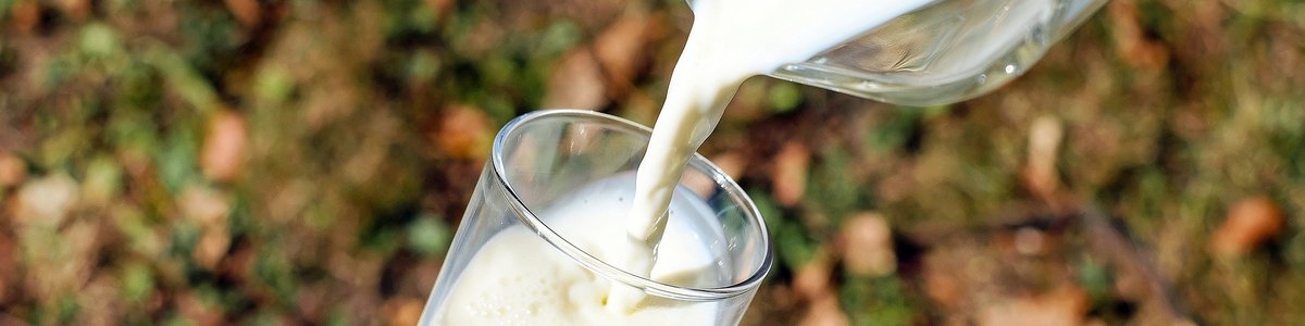 milk2